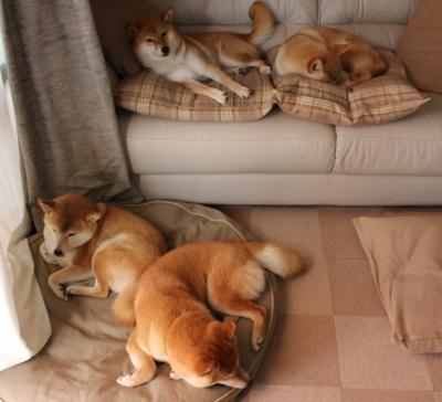 世俱杯决赛提前预演:两强激烈碰撞,世俱杯集锦