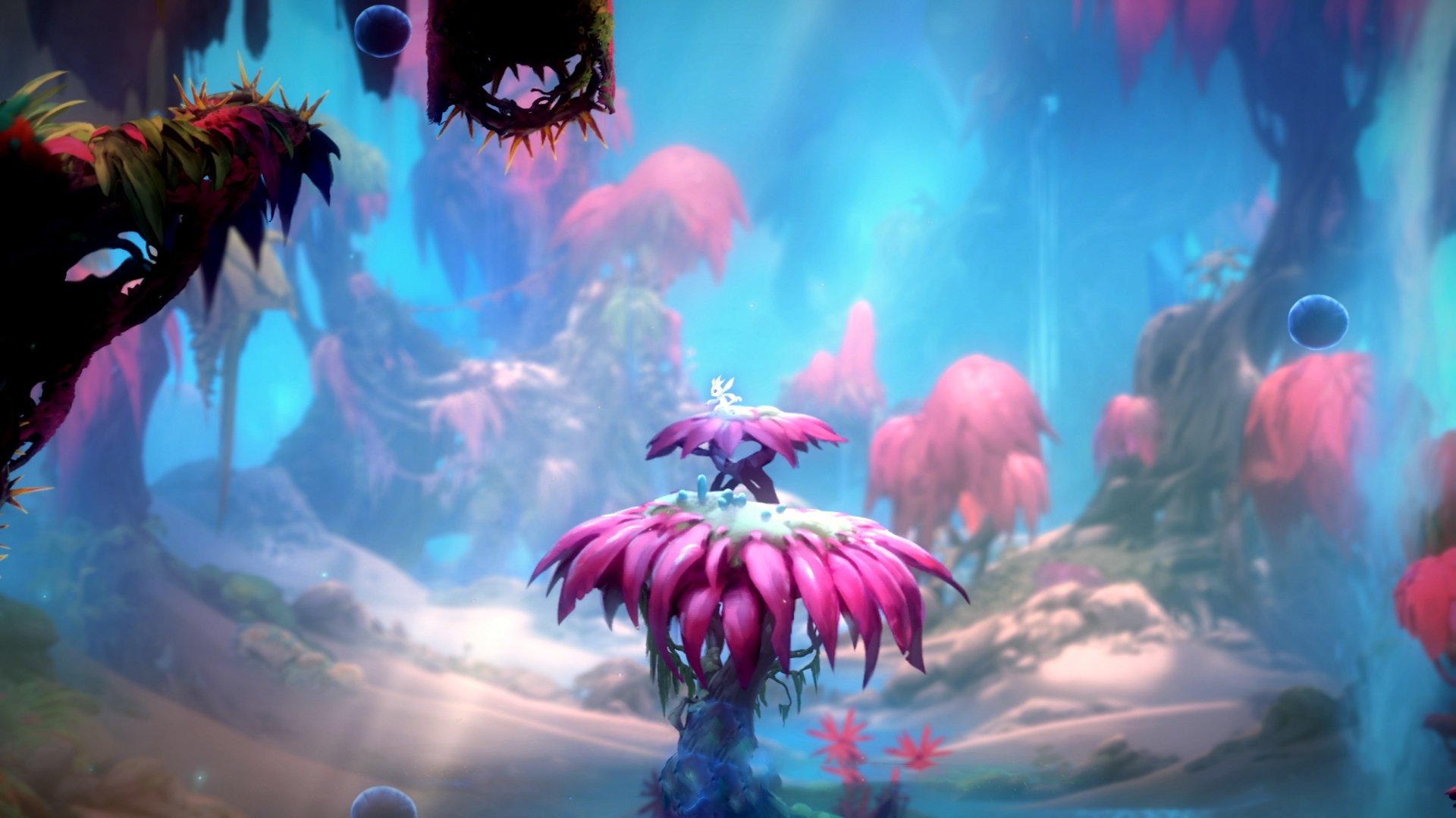 开yun官网-热火公布球队口号强调团队第一，热火队宣传片