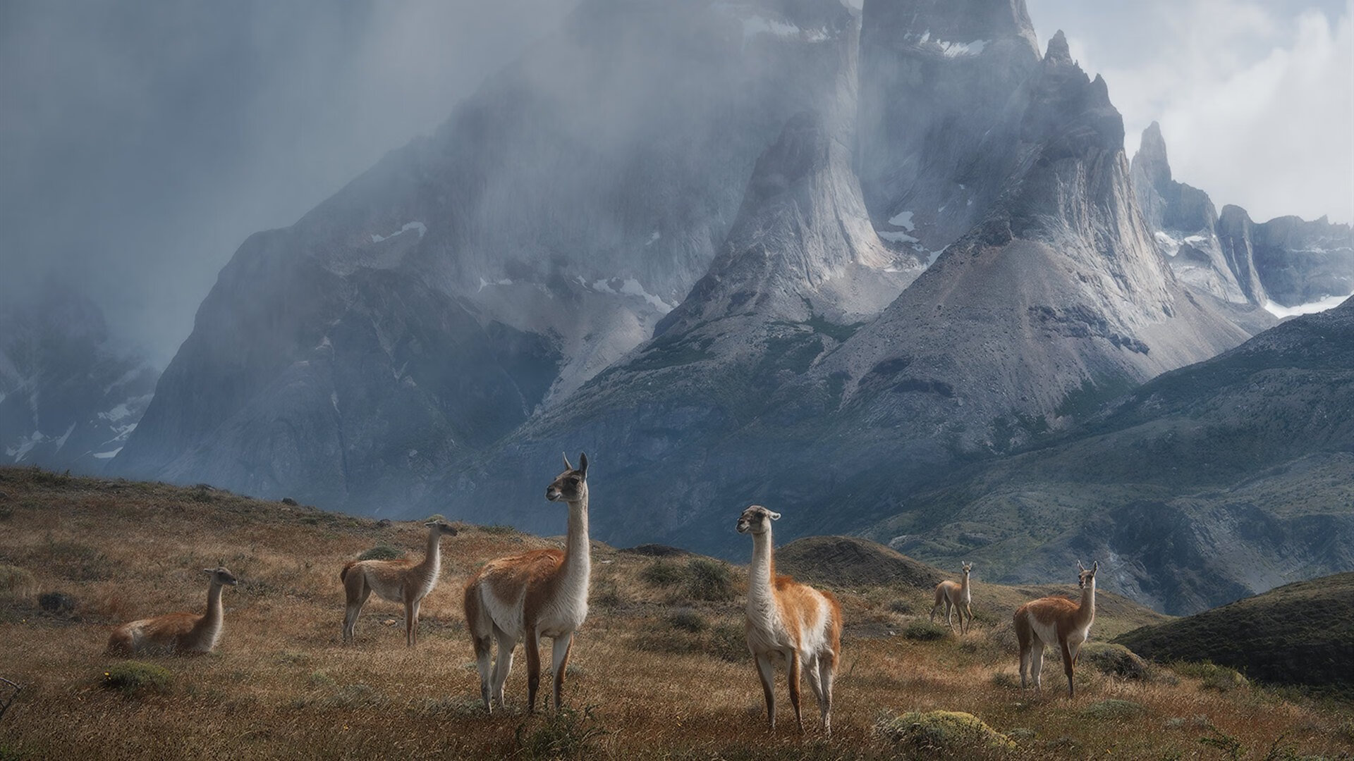 开云体育在线登入-英超终极完胜：逆转夺冠，荣耀永恒！，英超夺冠规则