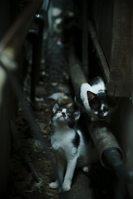 开云体育官网登入-U22国足主帅用“兵马俑”比喻球员顽强作战