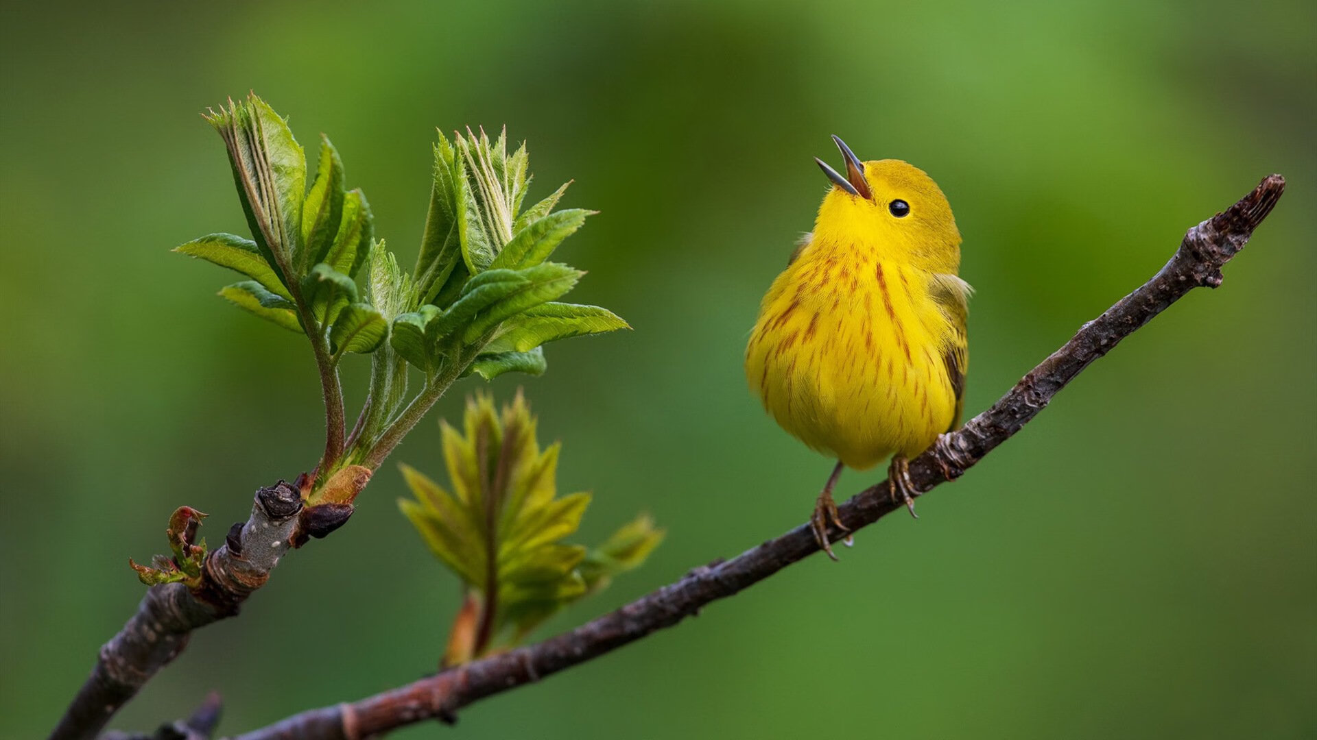 开yun官网-一轮游频现，国乒男单正在经历新老交替阵痛？，国乒男单接班人